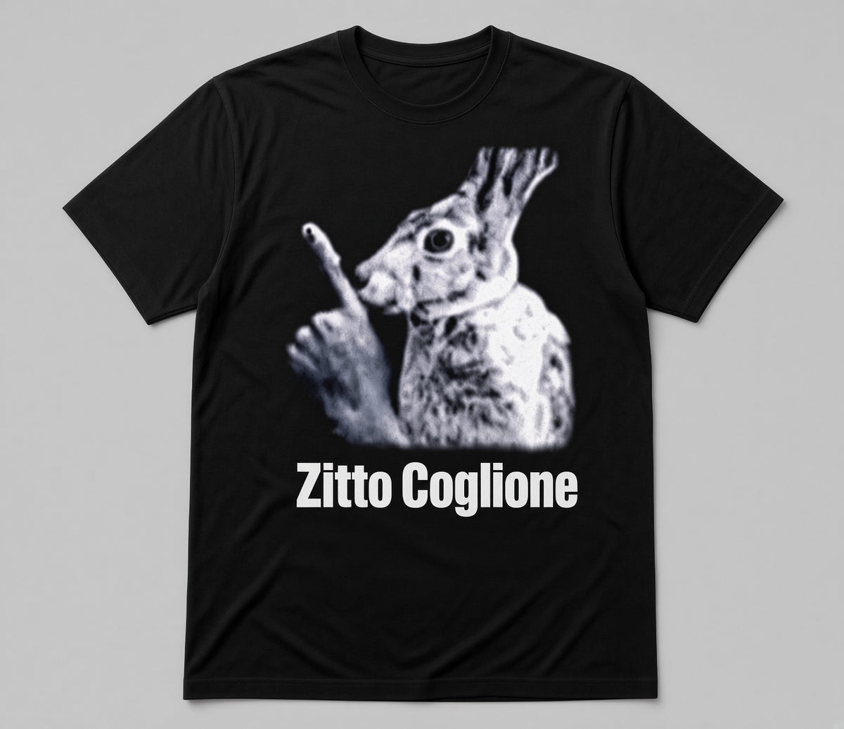 Zitto coglione