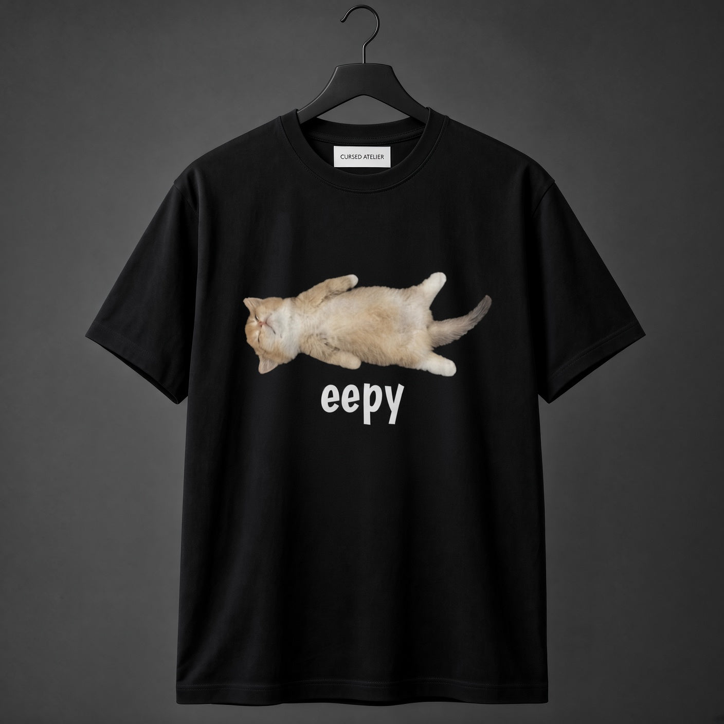 Eepy Cat